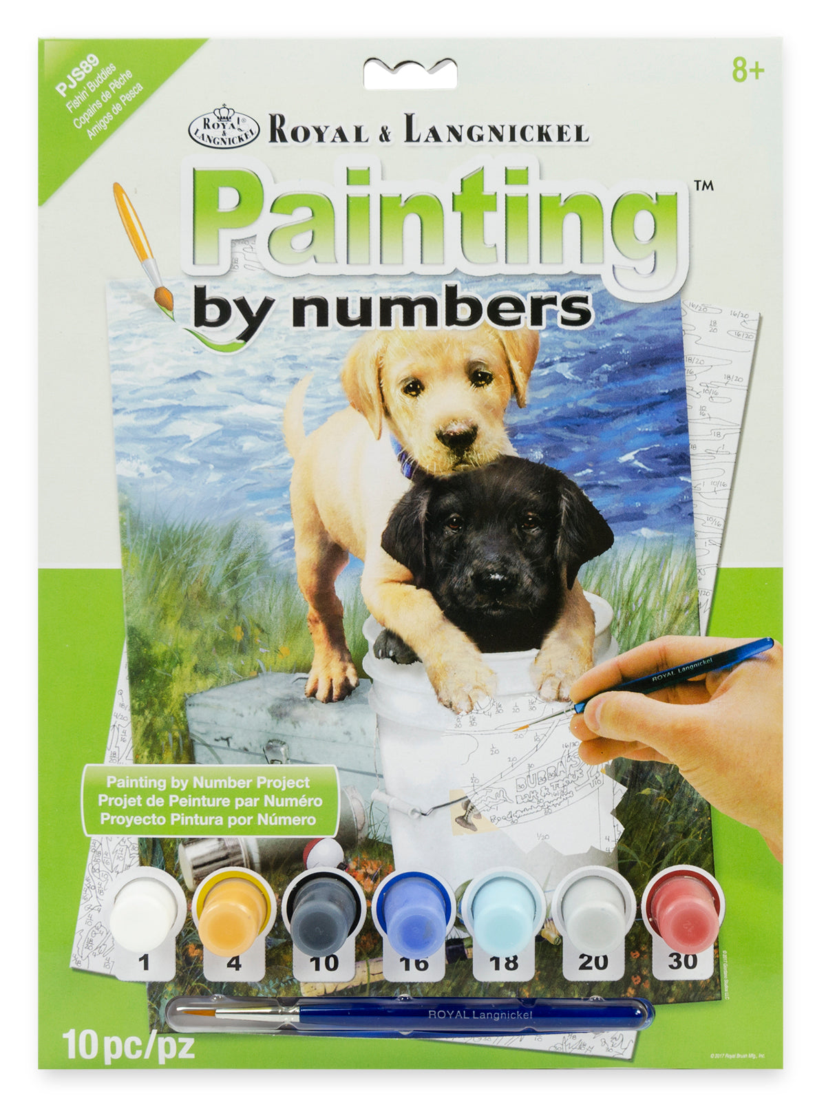 Junior Painting By Numbers - Small