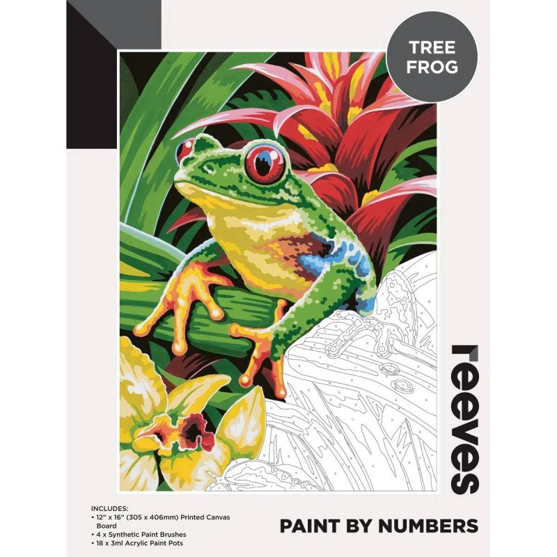 Reeves Paint by Numbers 12x16 inch - Tree Frog