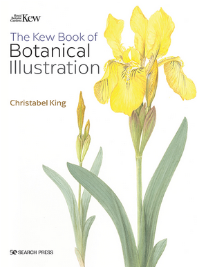 The Kew Book of Botanical Illustration (paperback edition)  By Christabel King