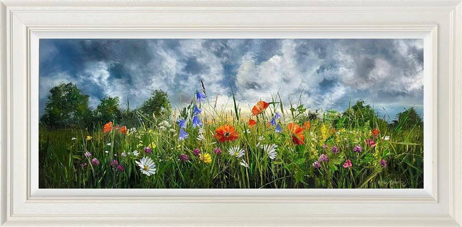 Kimberley Harris: A Journey Through Colour and Light