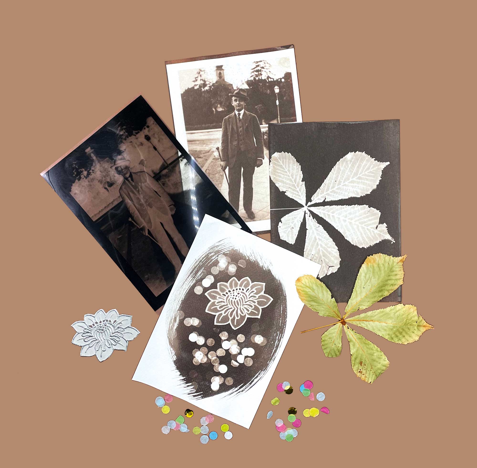 Van Dyke brown sun prints with leaves, lace and printed negatives