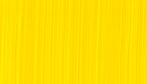 Michael Harding Yellow Lake Oil Paint 40ml