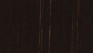 Michael Harding Vandyke Brown Oil Paint 40ml