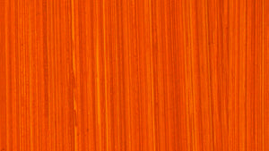 Michael Harding Brilliant Orange Oil Paint 225ml