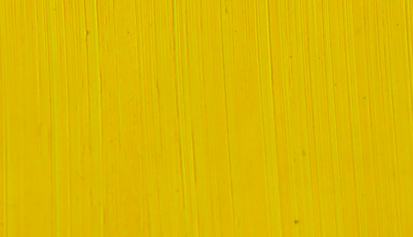 Michael Harding Citron Oil Paint 225ml c