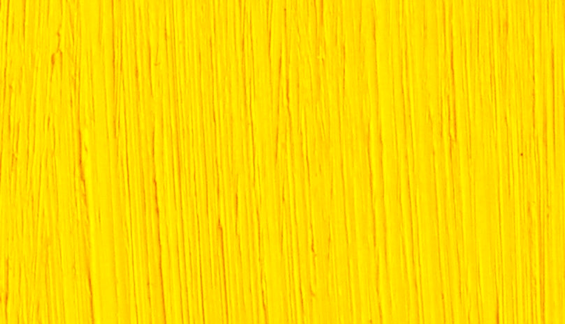 Michael Harding Cadmium Yellow Oil Paint 225ml