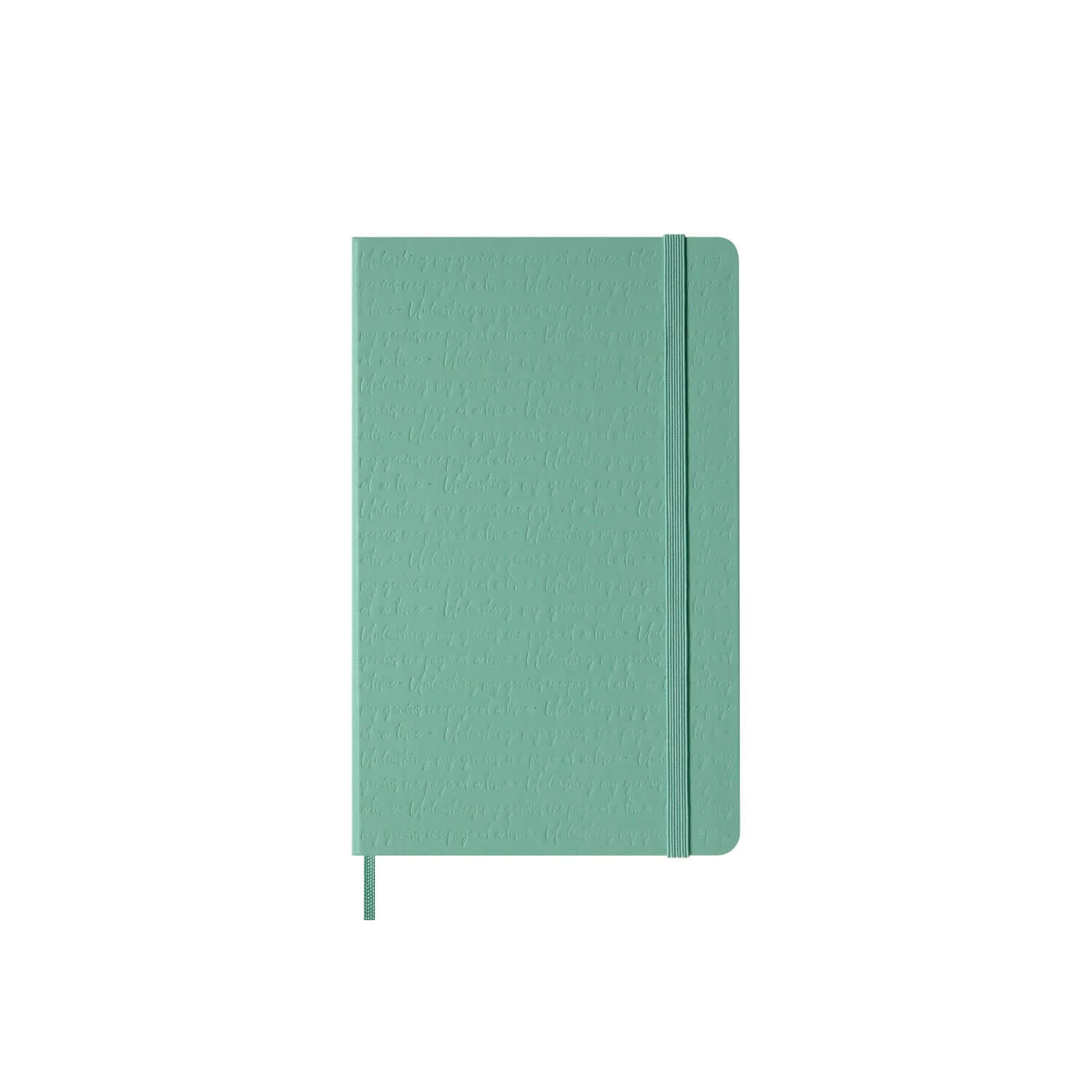 Moleskine Classic Large Ruled Hardcover Notebook - Sage Green with elastic closure and ribbon bookmark.