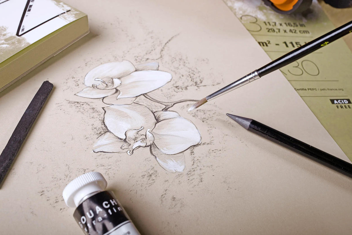 Pencil and white highlights on Clairefontaine Paint'On Natural paper