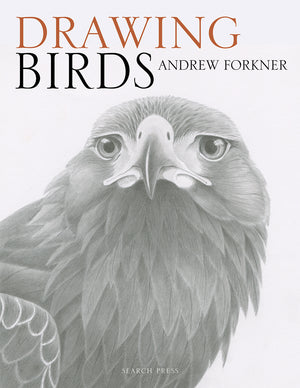 Search Press Drawing Birds