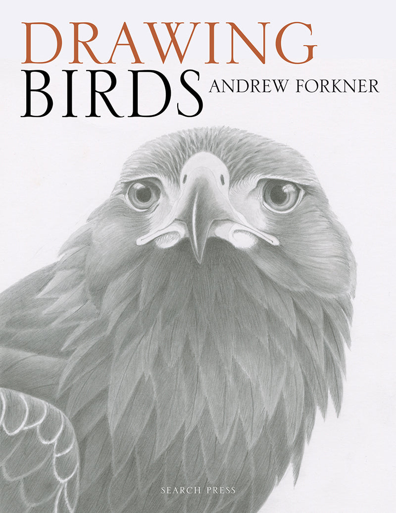 Search Press Drawing Birds