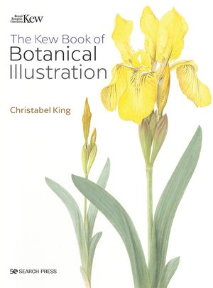 Search Press The Kew Book of Botanical Illustration (paperback edition) By Christabel King