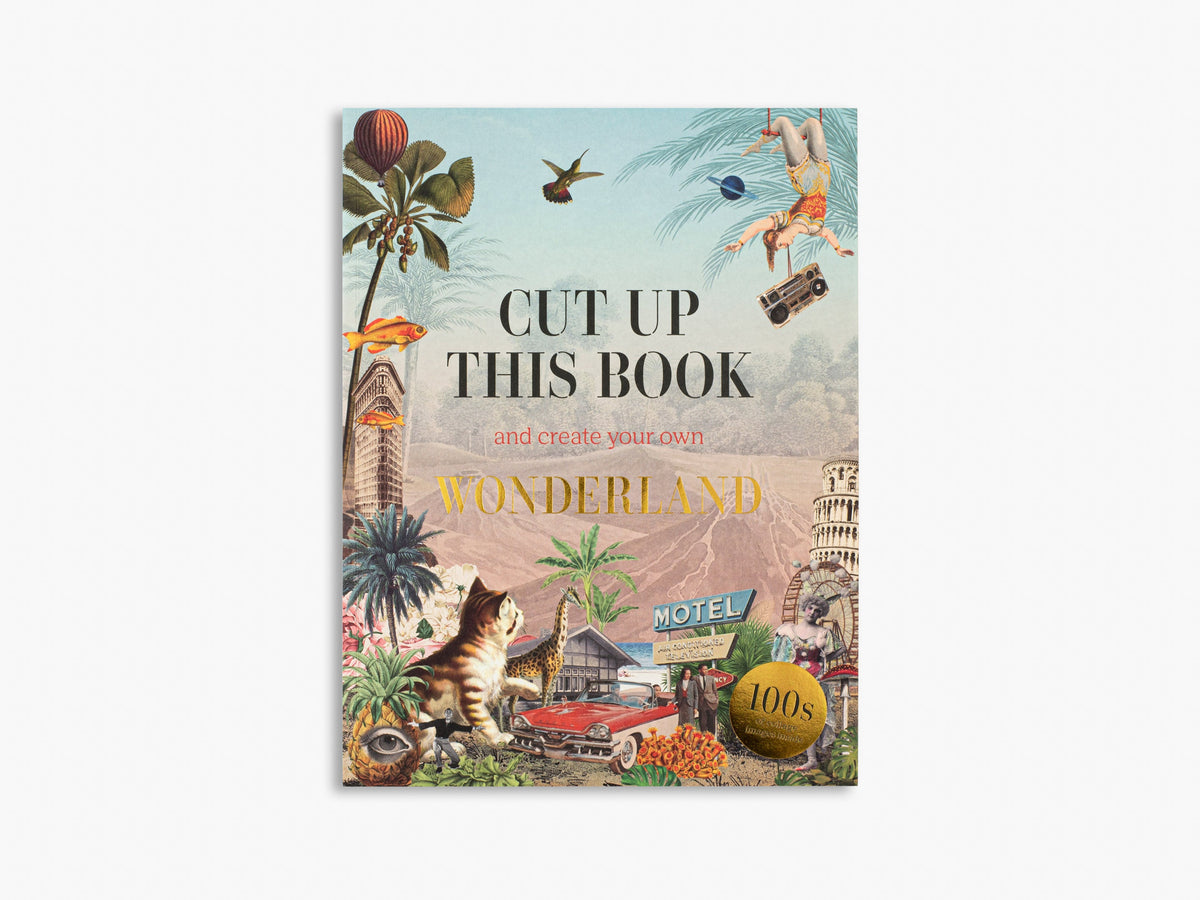 Hachette Cut Up This Book and Create Your Own Wonderland – Eliza Scott