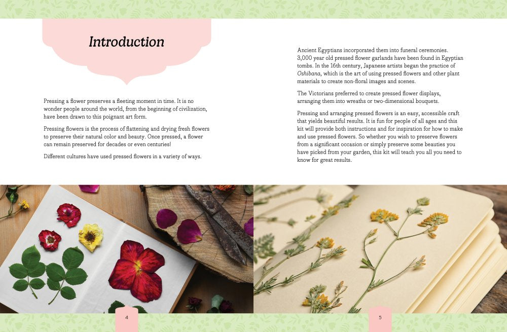 Introduction page of the Beautiful Botanicals Pressed Flower Crafts Kit showing dried flowers and pressing techniques.