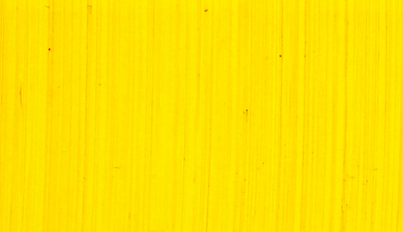 Michael Harding Bright Yellow Lake Oil Paint 225ml