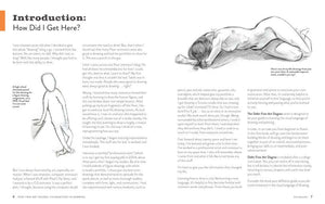 Introduction page from Debt-Free Art Degree – Foundations in Drawing by Marco Bucci | BradburyART