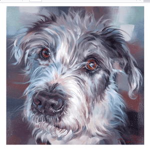 Bespoke pet portrait of a fluffy white and gray dog with soulful eyes, crafted by bradburyART.