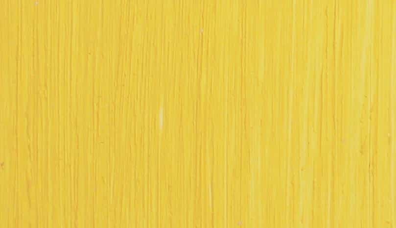 Michael Harding Genuine Naples Yellow Light Oil Paint 225ml v2
