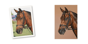 Side-by-side comparison of a horse photo and its bespoke portrait by bradburyART, showcasing detailed artistry and lifelike depiction.