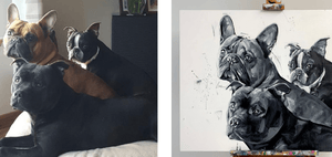 Three French Bulldogs in a cozy setting beside a detailed black and white pet portrait canvas capturing their likeness.