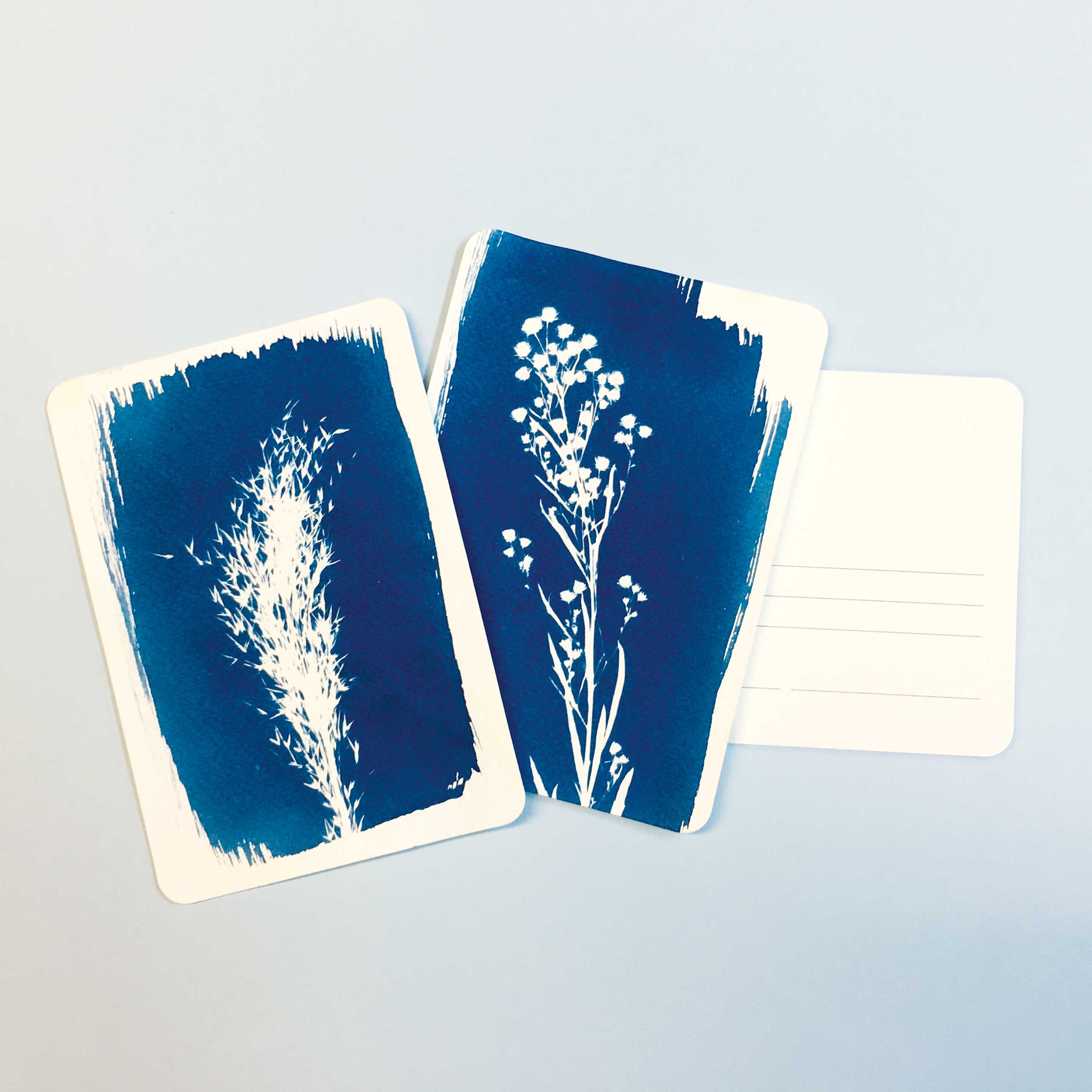 Cyanotype prints on watercolour postcards – blue botanical sun prints with blank card