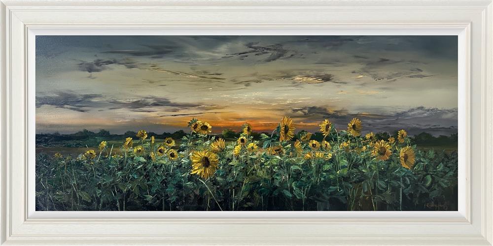 Last Light Over the Field by Kimberley Harris