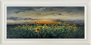 Last Light Over the Field by Kimberley Harris