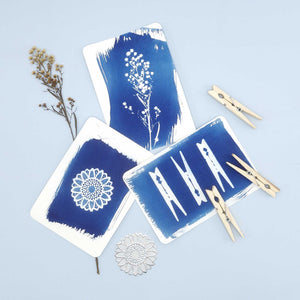 Cyanotype sun print postcards made with pegs and dried flowers