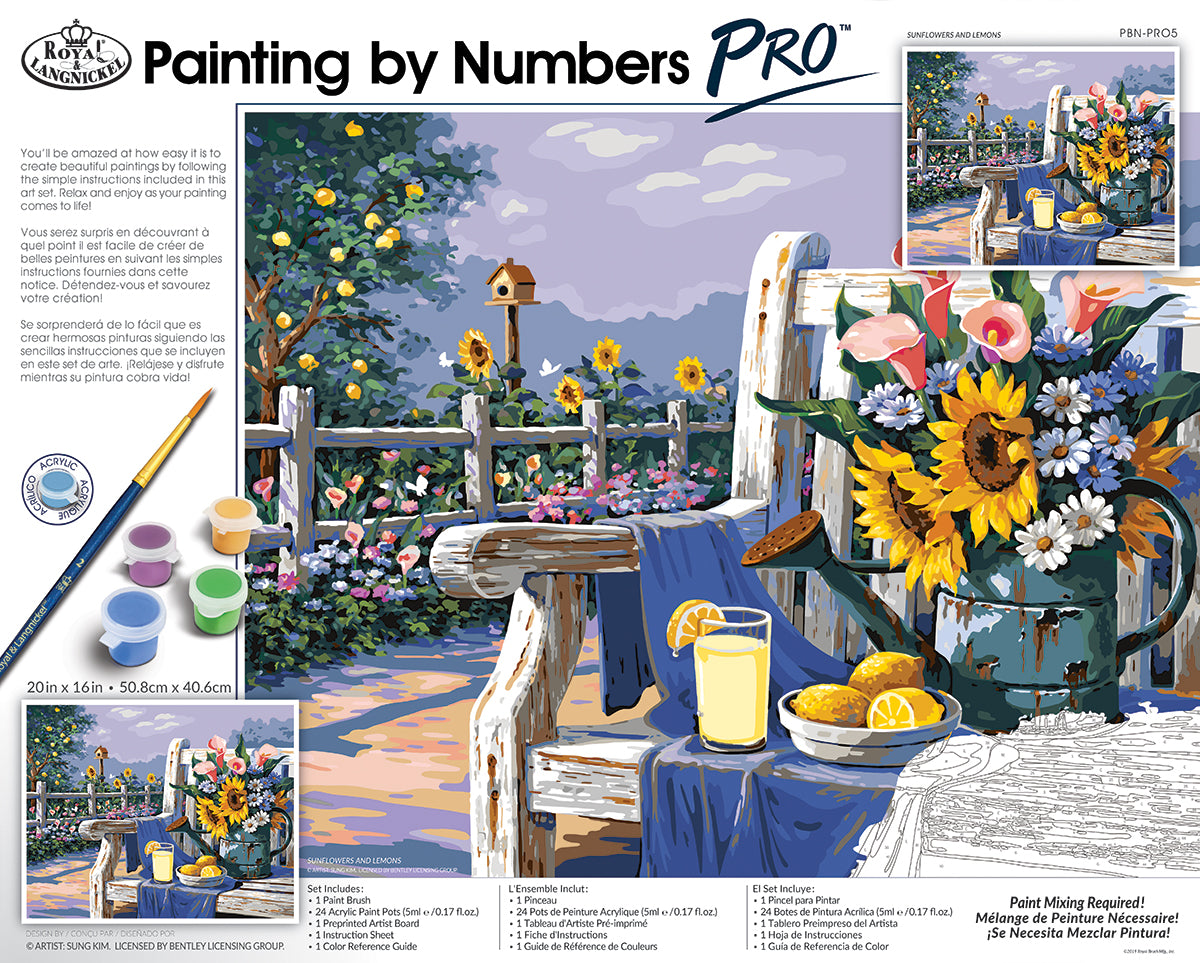 Paint by number Pro Series