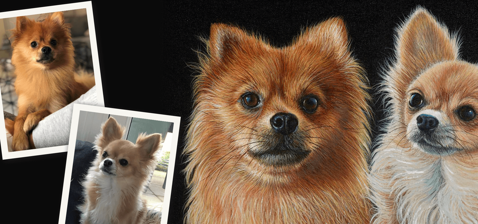 Custom pet portrait of two dogs by bradburyART, featuring realistic illustrations alongside original pet photos, highlighting unique artistry.