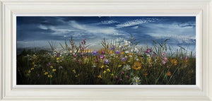 Sunlit Meadow Blossoms by Kimberley Harris