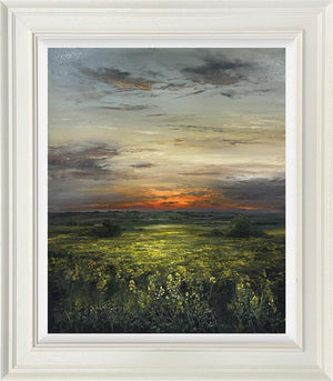 The Last Warmth of Day by Kimberley Harris