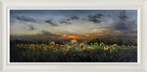 The Morning Shines Through by Kimberley Harris — original oil on board, image 50 x 120 cm, framed 70.8 x 140.8 cm