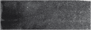 Michael Harding Lamp Black Watercolour 15ml