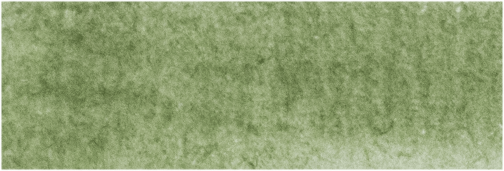 Michael Harding Italian Green Umber Watercolour 15ml