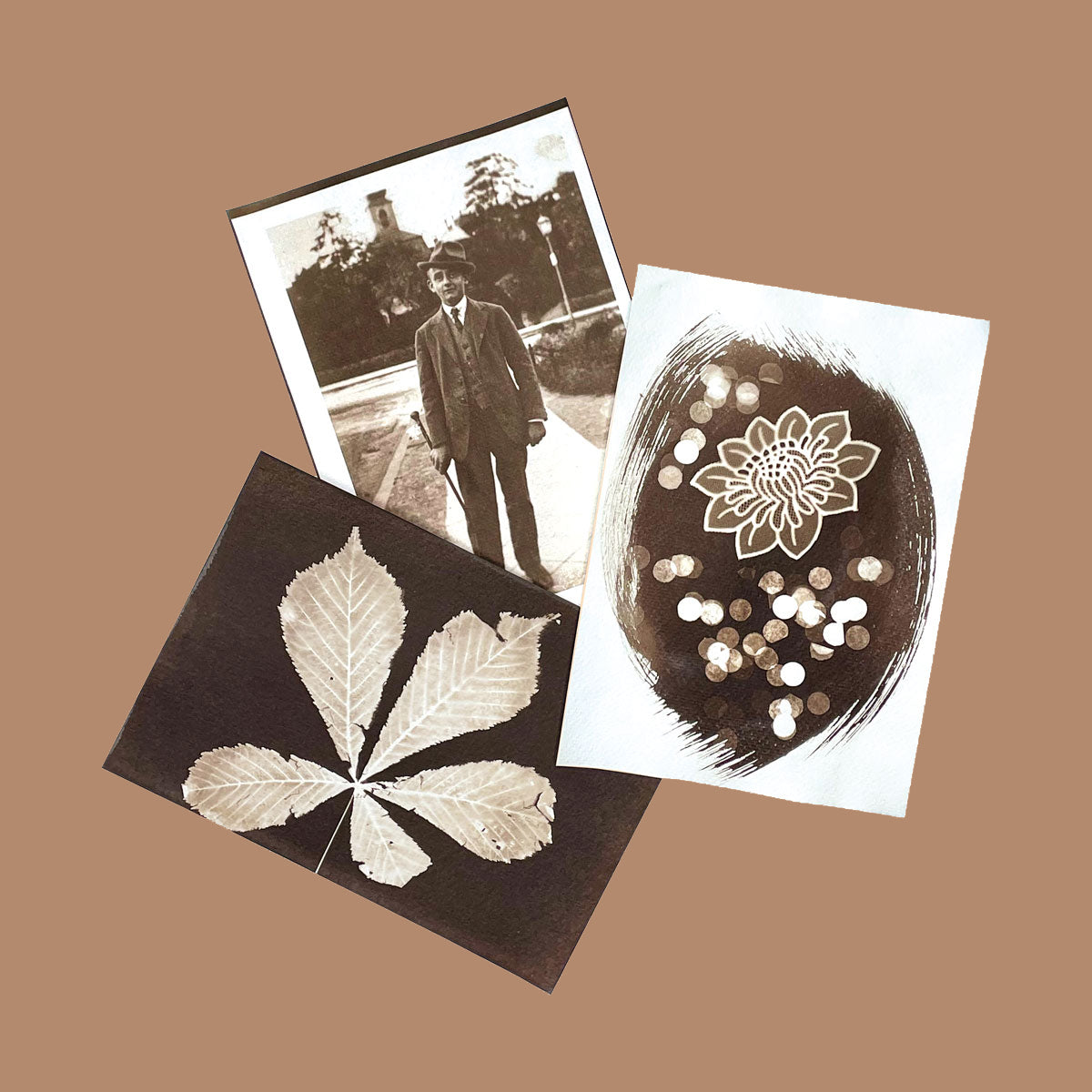 Van Dyke brown prints – sepia botanical sun prints and vintage photograph