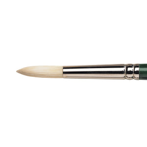 Winsor & Newton Winton Hog Oil Round Brush — Size 10