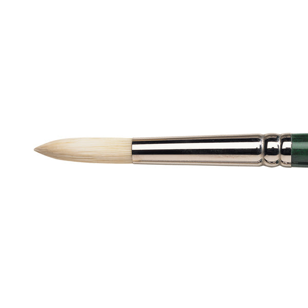 Winsor & Newton Winton Hog Oil Round Brush — Size 10