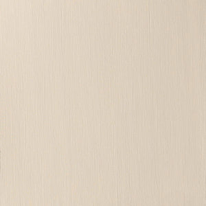Winsor & Newton Professional Acrylic 200ml — Buff Titanium