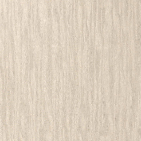Winsor & Newton Professional Acrylic 200ml — Buff Titanium