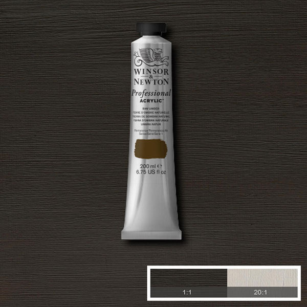 Winsor & Newton Professional Acrylic 200ml — Raw Umber