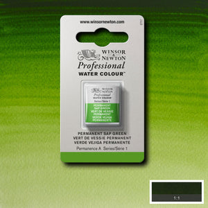 Winsor & Newton Professional Watercolour Half Pan — Permanent Sap Green