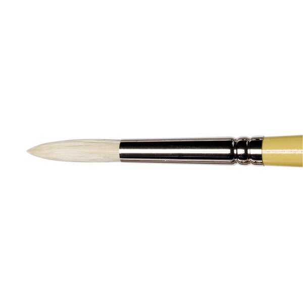 Winsor & Newton Artists Hog Round Brush — Size 6