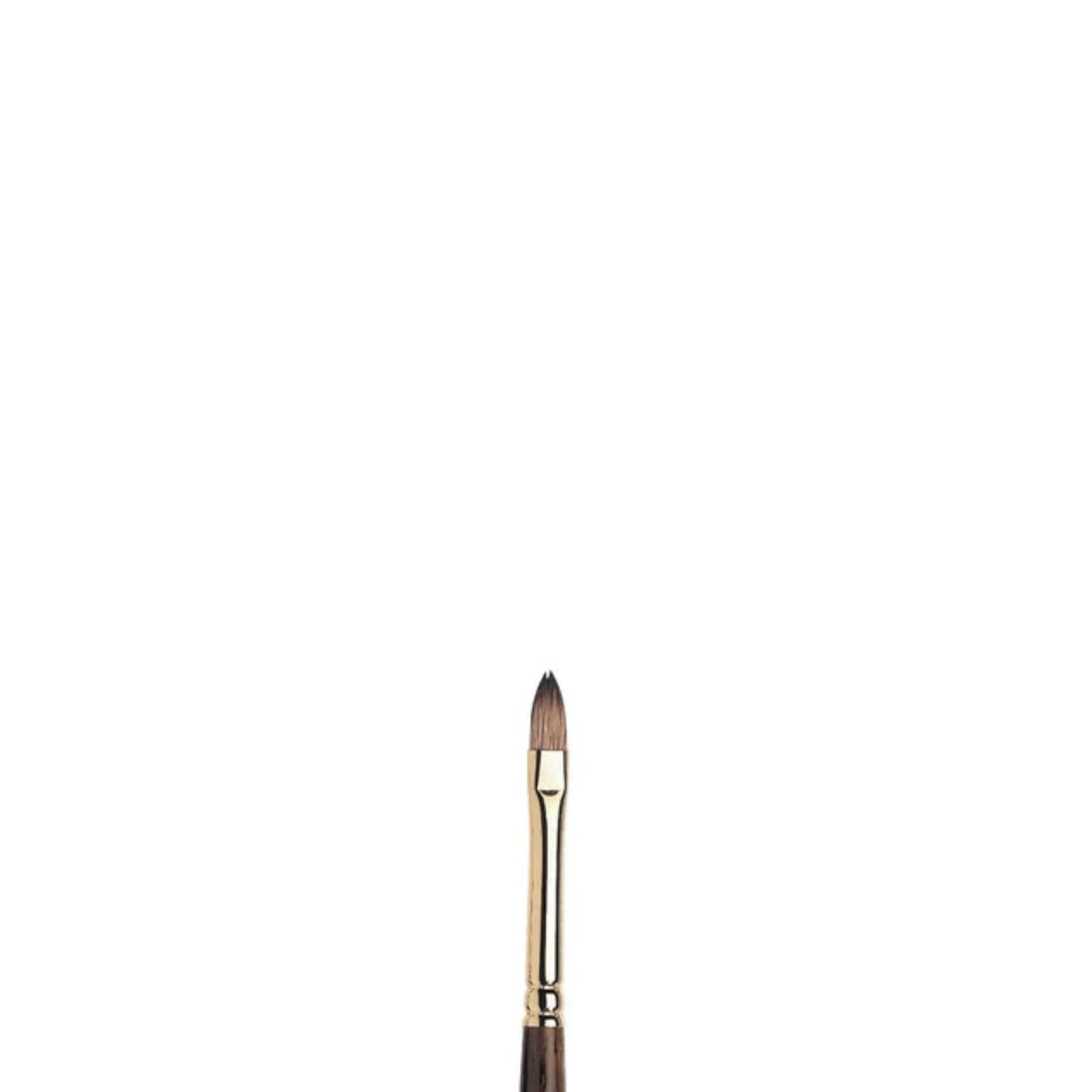 Winsor & Newton Monarch Oil Short Filbert Brush — Size 2