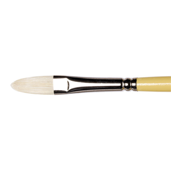 Winsor & Newton Artists Hog Filbert Brush — Size 6