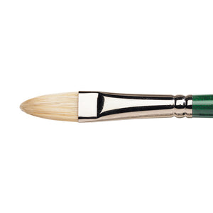 Winsor & Newton Winton Hog Oil Filbert Brush — Size 8