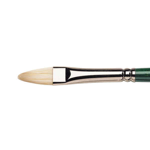 Winsor & Newton Winton Hog Oil Filbert Brush — Size 6