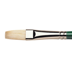 Winsor & Newton Winton Hog Oil Flat Brush — Size 8