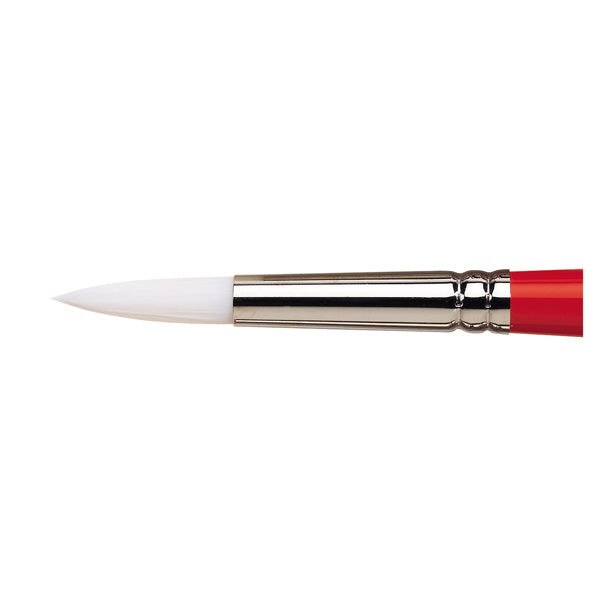 Winsor & Newton University Round Brush — Size 12