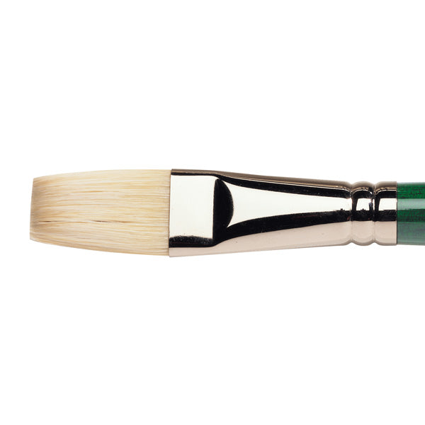 Winsor & Newton Winton Hog Oil Flat Brush — Size 12