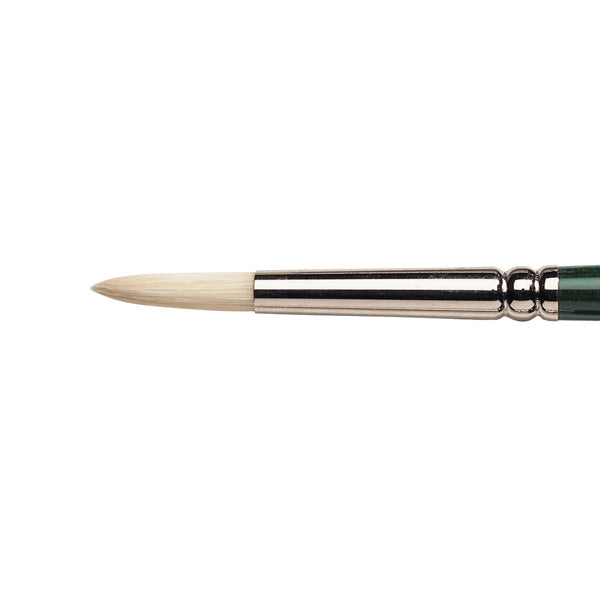 Winsor & Newton Winton Hog Oil Round Brush — Size 4